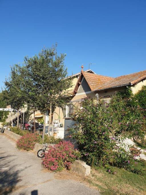 St Remy De Provence, La Maison Du Berger 圣昂迪奥勒 外观 照片