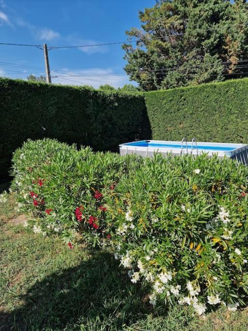 St Remy De Provence, La Maison Du Berger 圣昂迪奥勒 外观 照片