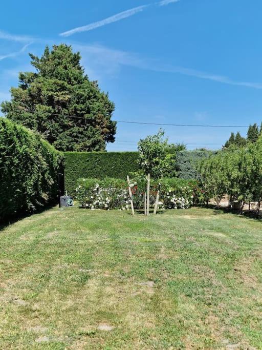 St Remy De Provence, La Maison Du Berger 圣昂迪奥勒 外观 照片