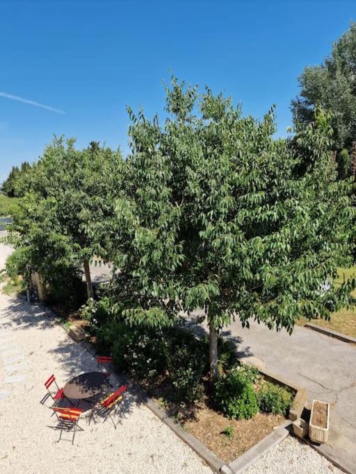 St Remy De Provence, La Maison Du Berger 圣昂迪奥勒 外观 照片