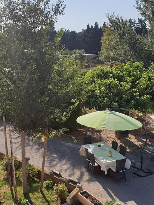 St Remy De Provence, La Maison Du Berger 圣昂迪奥勒 外观 照片
